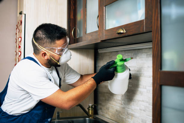 Best Pest Control Near Me in Fort Davis, TX
