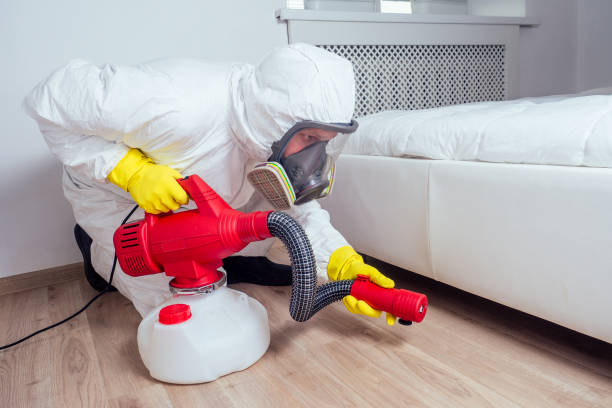 Best Affordable Pest Control Services  in Fort Davis, TX