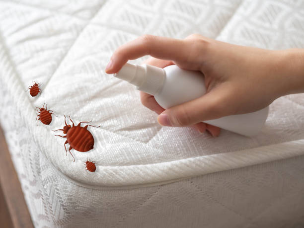 Best Residential Pest Control  in Fort Davis, TX