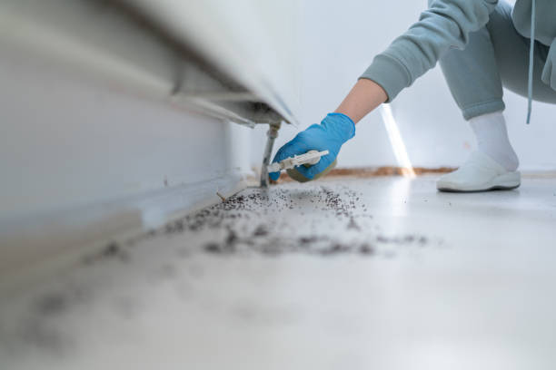 Best Commercial Pest Control Services  in Fort Davis, TX